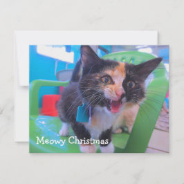 さらさの子ネコMeowy サンキューカード