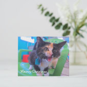 さらさの子ネコMeowy サンキューカード (スタンド正面)