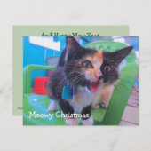 さらさの子ネコMeowy サンキューカード (正面/裏面)