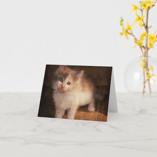 さらさの子ネコNotecard カード (黄色い花)