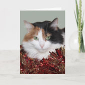 さらさの子猫のクリスマス シーズンカード (正面)