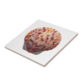 さらさの帆立貝貝 タイル (側面)