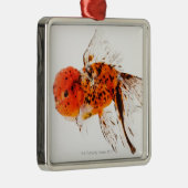 さらさのlionheadの金魚(フナのauratus) メタルオーナメント (右)