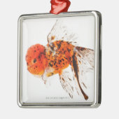 さらさのlionheadの金魚(フナのauratus) メタルオーナメント (左)