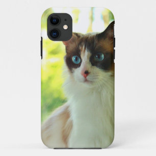 さらさのRagdollの子猫のカスタムな電話箱および皮 iPhone 11 ケース