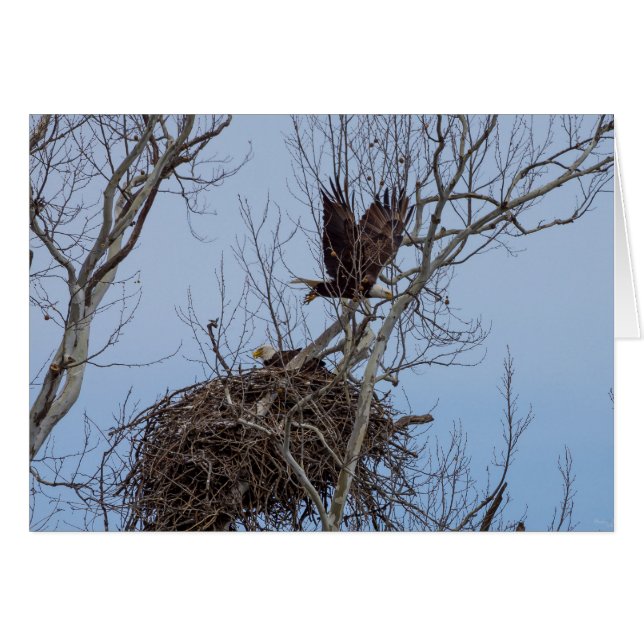 さらにオフ (正面横)