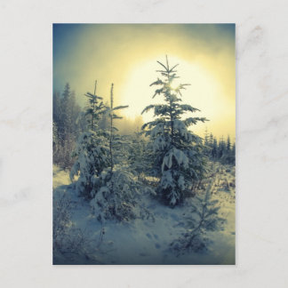 さわやかな冬の朝 ポストカード