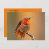 さわやかな羽を持つハミングバード ポストカード (正面/裏面)