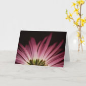 しおれさせた紫色のデイジー カード (黄色い花)