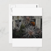 しおれさせた蜂蜜 ポストカード (正面/裏面)