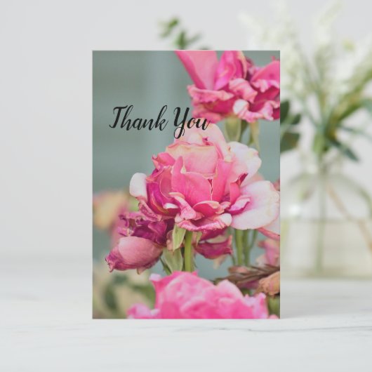 しおれたバラの感謝カード サンキューカード (スタンド正面)