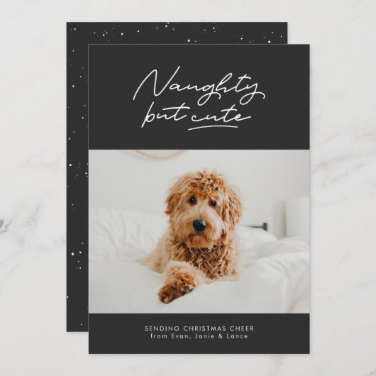 しかいけなして可愛いクリスマスおもしろいペットの写真カード シーズンカード (正面/裏面)