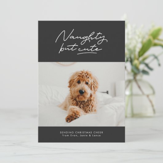 しかいけなして可愛いクリスマスおもしろいペットの写真カード シーズンカード (スタンド正面)