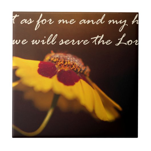 しかし私および私の家に関しては、私達は主に役立ちます タイル (正面)