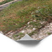 しかし、あなた方のハートの中で、キリストを主として分離した ポスター (角)