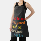 しかし、誕生でメキシコ湾に指定された エプロン (インサイチュ)