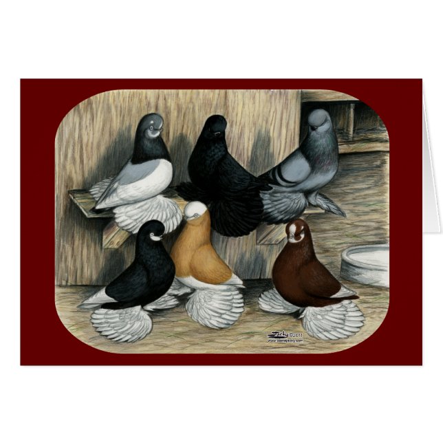 しくじられたタンブラーハト (正面横)