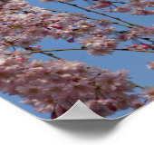 しだれさくらんぼツリーフラワーズ ポスター (角)