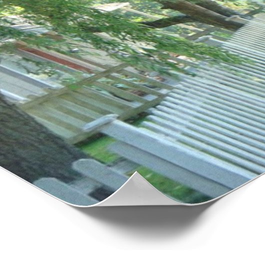 しだれ柳のポスターを通して ポスター (角)