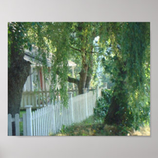 しだれ柳のポスターを通して ポスター