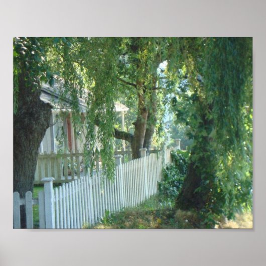 しだれ柳のポスターを通して ポスター (正面)