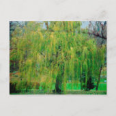 しだれ柳はがき ポストカード (正面)