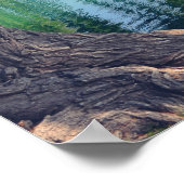 しだれ柳ツリー20" x 16インチポスター紙（マット） ポスター (角)