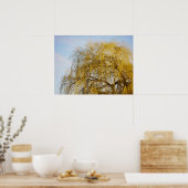 しだれ柳ポスター ポスター (キッチン)