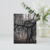 しだれ柳 ポストカード (スタンド正面)