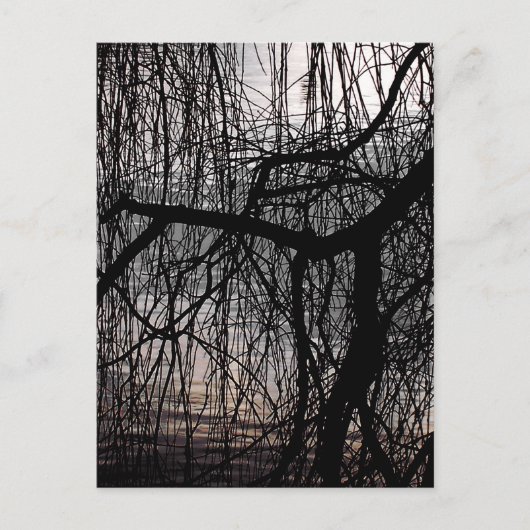 しだれ柳 ポストカード (正面)