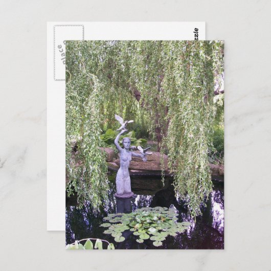 しだれ柳 ポストカード (正面/裏面)