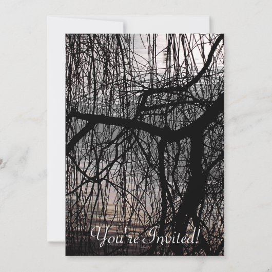 しだれ柳 招待状 (正面)