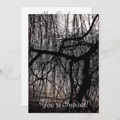 しだれ柳 招待状 (正面/裏面)