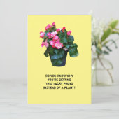 しっかりした花のフローラポット、グリーティングカード シーズンカード (スタンド正面)