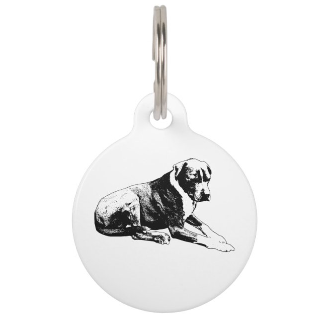 しっかりとしたスマートな、安全なタグ ペット　ネームタグ (正面)