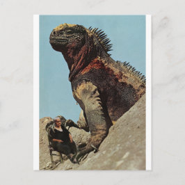 しっかり掴まって- ポストカード