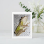 しっくい壁の写真にしがみつく大きなカエル ポストカード (スタンド正面)