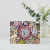 しっとりとしたポストカード ポストカード (スタンド正面)