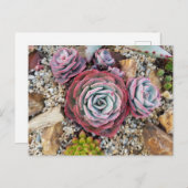 しっとりとしたポストカード ポストカード (正面/裏面)