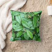 しっとり濡れた緑クッション クッション (ブランケット)