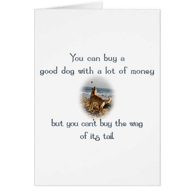 しっぽの水 (正面)