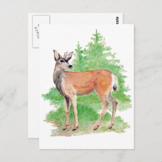 しっぽの鹿はがき ポストカード (正面/裏面)