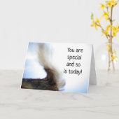 しっぽふりふりイベント *新しいお家* カード (黄色い花)