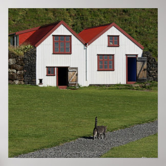 しっぽを出す ポスター