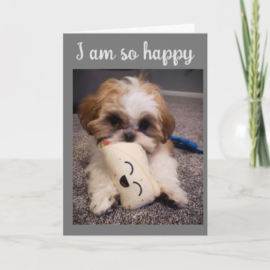 しっぽを振る**ハッピーイースター** シーズンカード (正面)