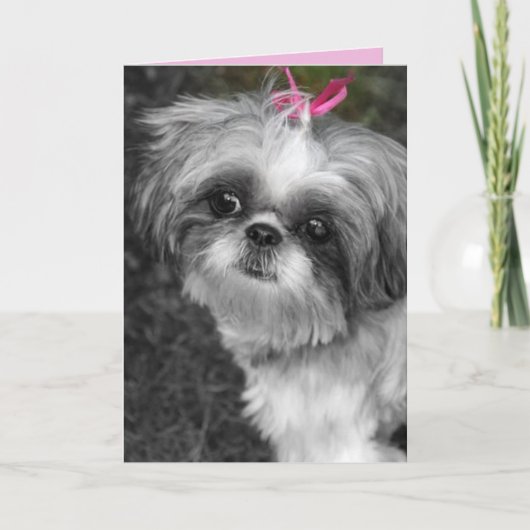 しつ女の子グリーティングカード カード (正面)