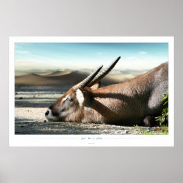 しばらくの間 ポスター