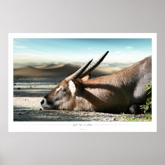 しばらくの間 ポスター (正面)