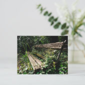 しばらく滞在して ポストカード (スタンド正面)