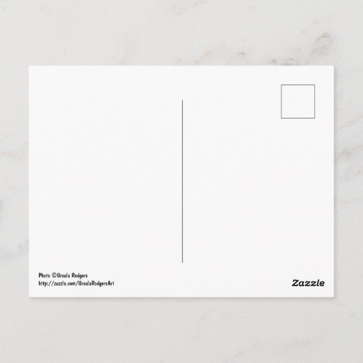 しばらく滞在して ポストカード (裏面)